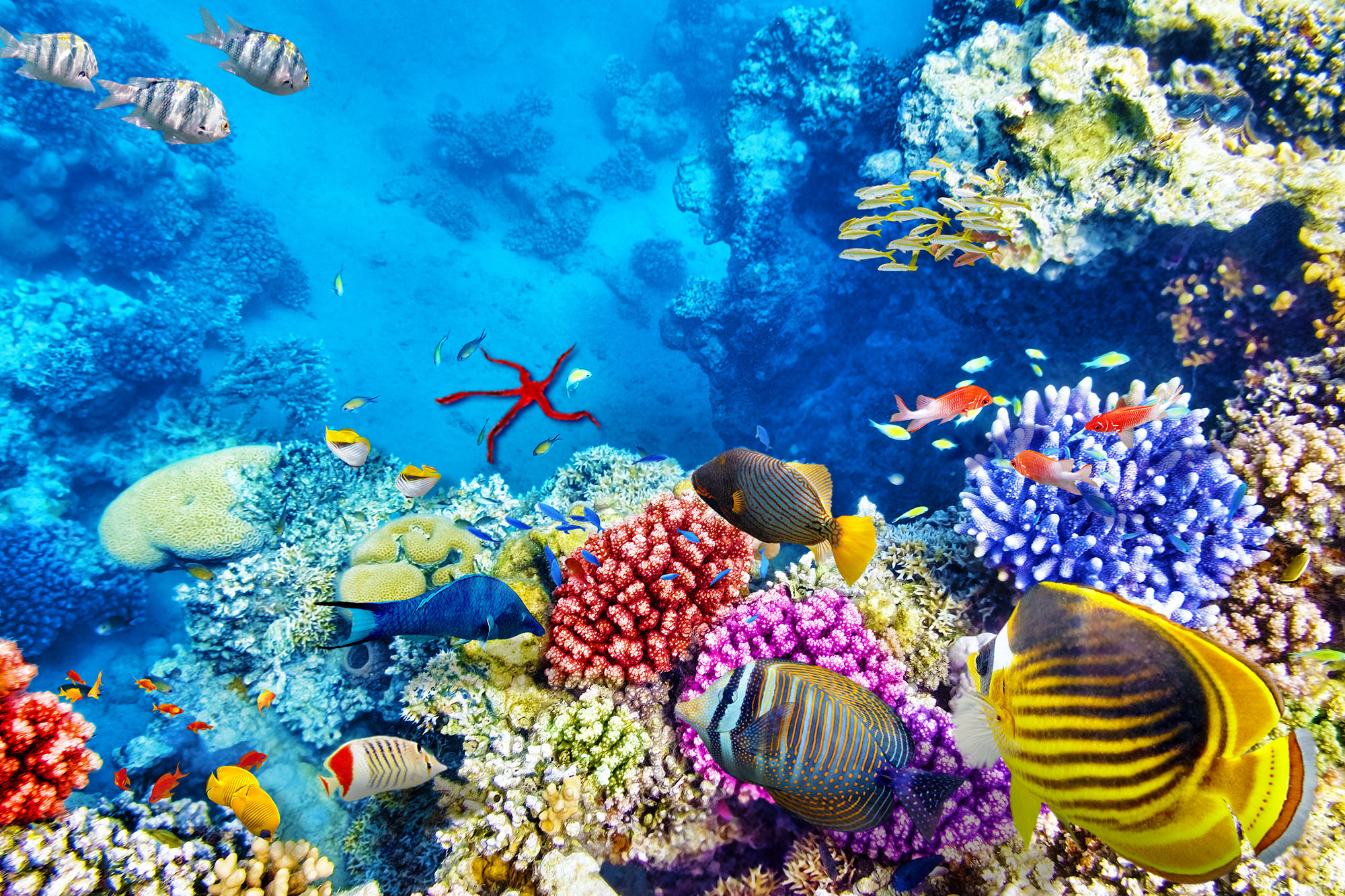 Sea adventures